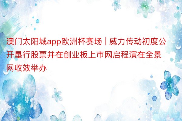 澳门太阳城app欧洲杯赛场 | 威力传动初度公开垦行股票并在创业板上市网启程演在全景网收效举办